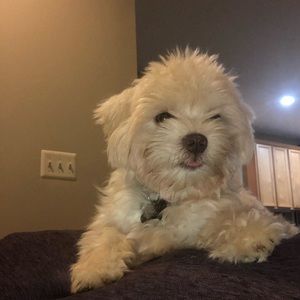 Make an offer, bundle and save! Have a great day😘